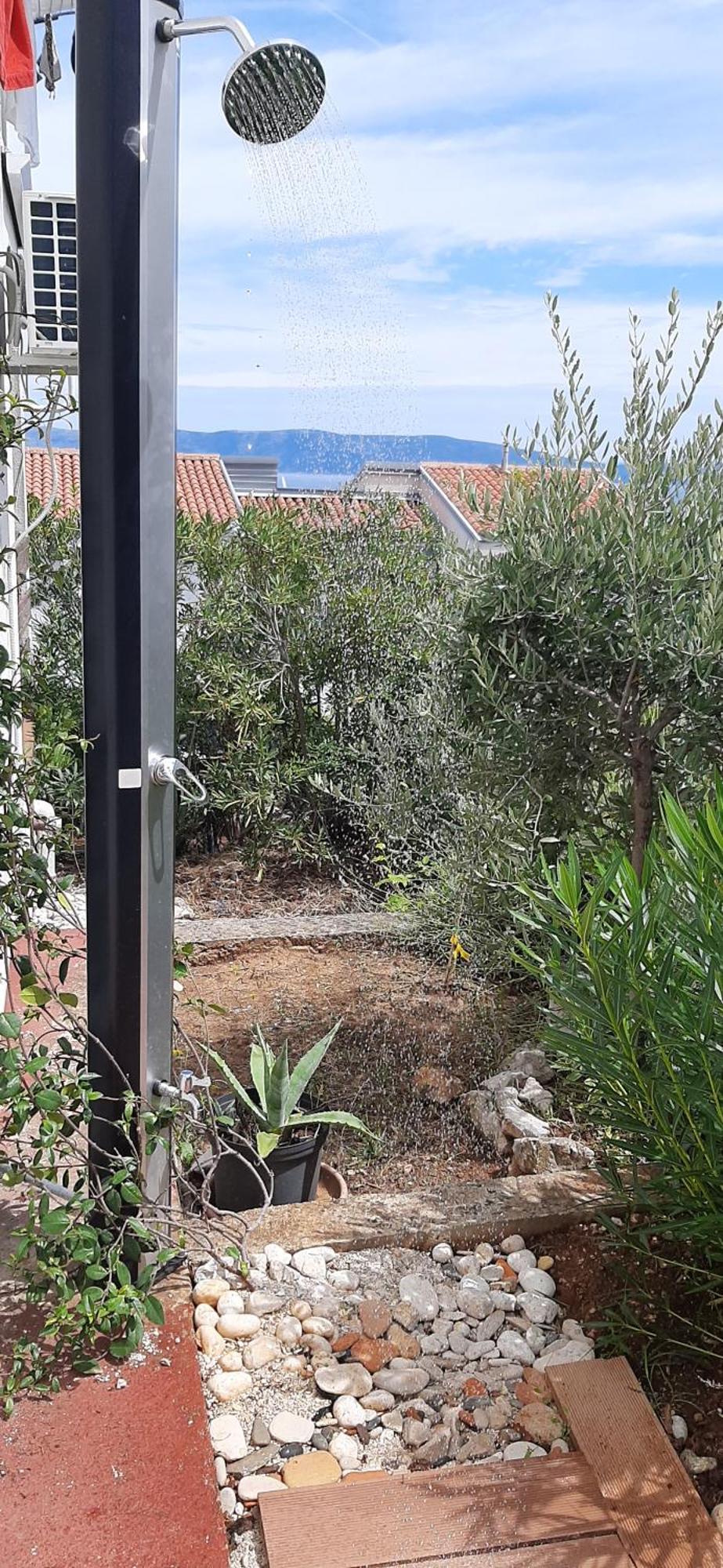 לאבין Lavandula מראה חיצוני תמונה